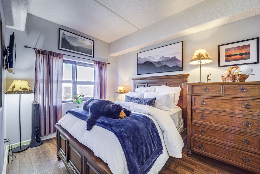 Vacation Rental 3 Mi to Sugar Mountain Resort - photo 7