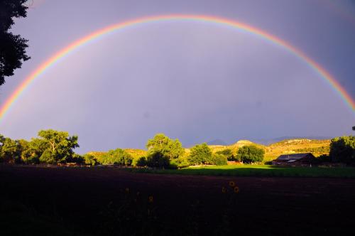 Canyon Of The Ancients Guest Ranch - photo 12