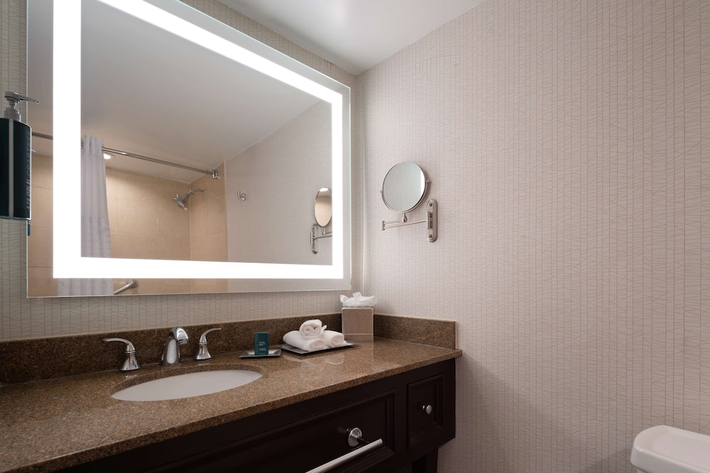 DoubleTree By Hilton Baltimore North Pikesville - photo 33
