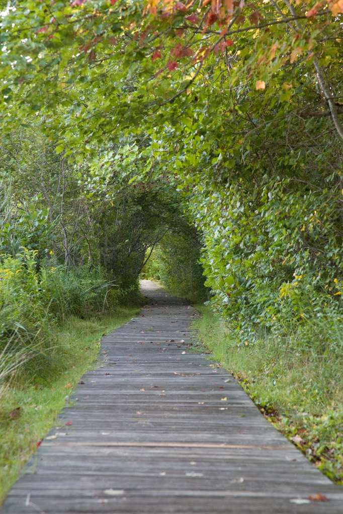 Inn By The Sea - photo 4