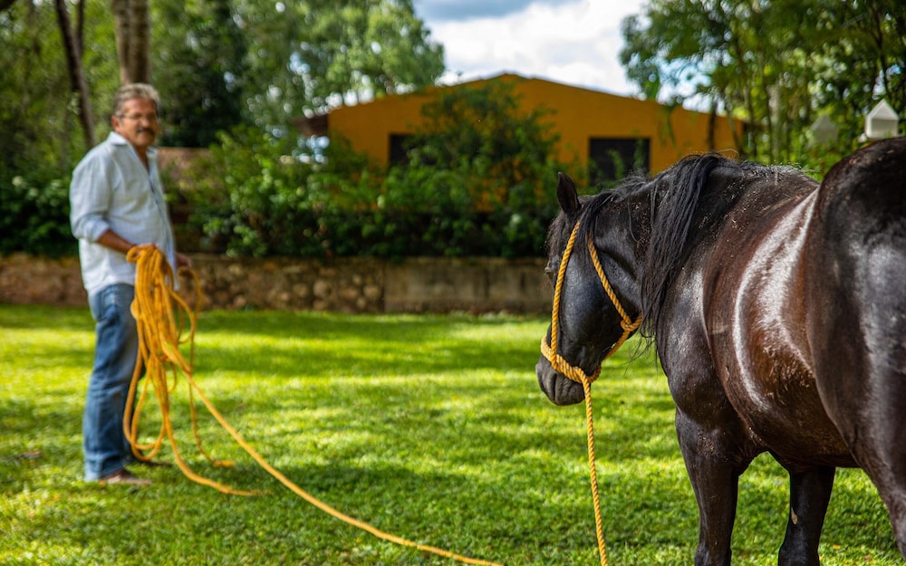 Hacienda San Miguel