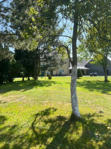 Chata pod gruszą in Unknown City, Poland