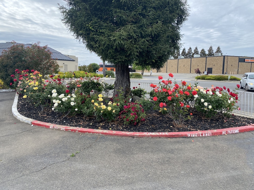 Oasis Inn Sacramento Elk Grove - photo 19