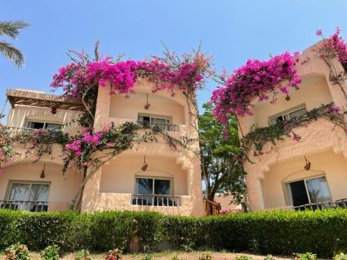 Blue Lagoon Beach Resort Marsa Alam in Marsa Alam, Egypt