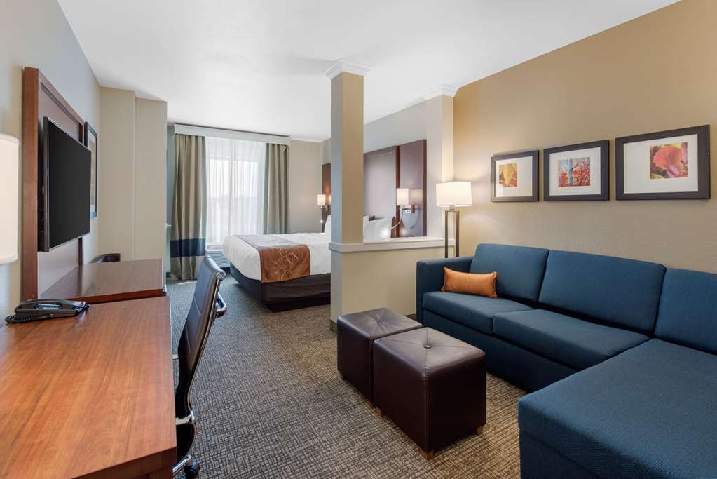 Comfort Suites Denver International Airport - photo 20