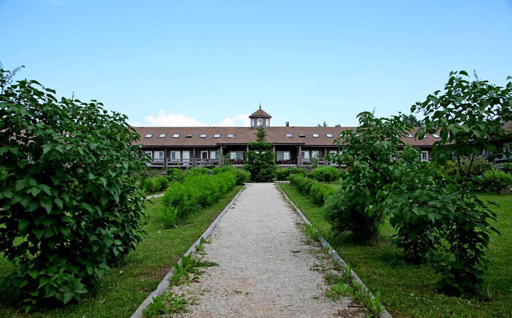 Literary Hotel Arina R — hotel in Pushkinskiye Gory