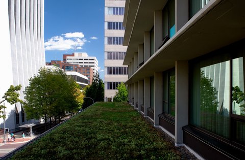 Portland Inn City Center - photo 19
