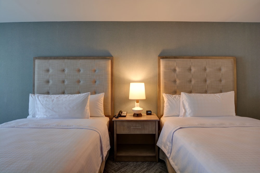 Homewood Suites by Hilton Hadley Amherst - photo 5