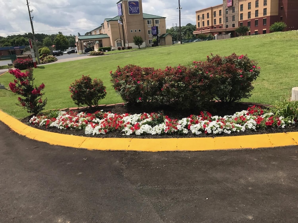 Lotus Inn and Suites - photo 13