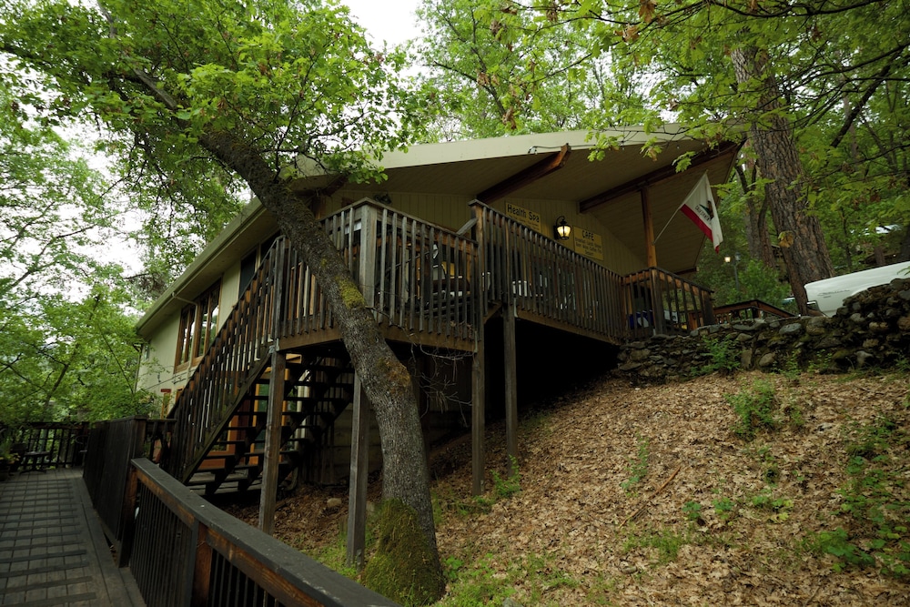 Yosemite Bug Rustic Mountain Resort - photo 128