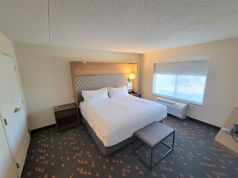 Holiday Inn & Suites Ann Arbor Univ Michigan Area by IHG - photo 17