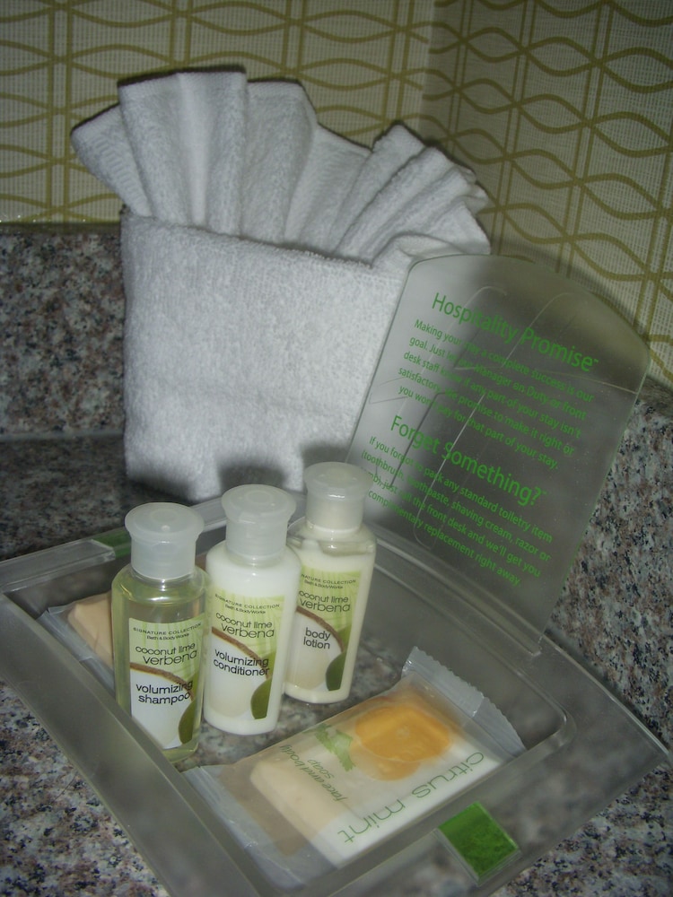 Holiday Inn St. Louis Arpt West Earth City by IHG - photo 23