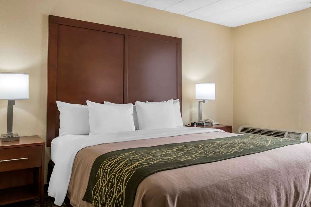 Comfort Inn Pocono Mountains - photo 12