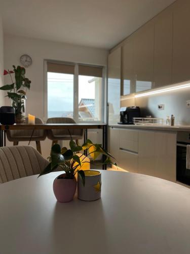 DreamApartment — Deva — photo 3