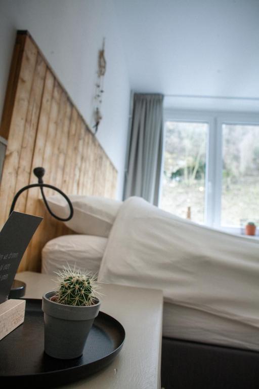 Bed & Breakfast De Plenkert — Valkenburg — photo 4