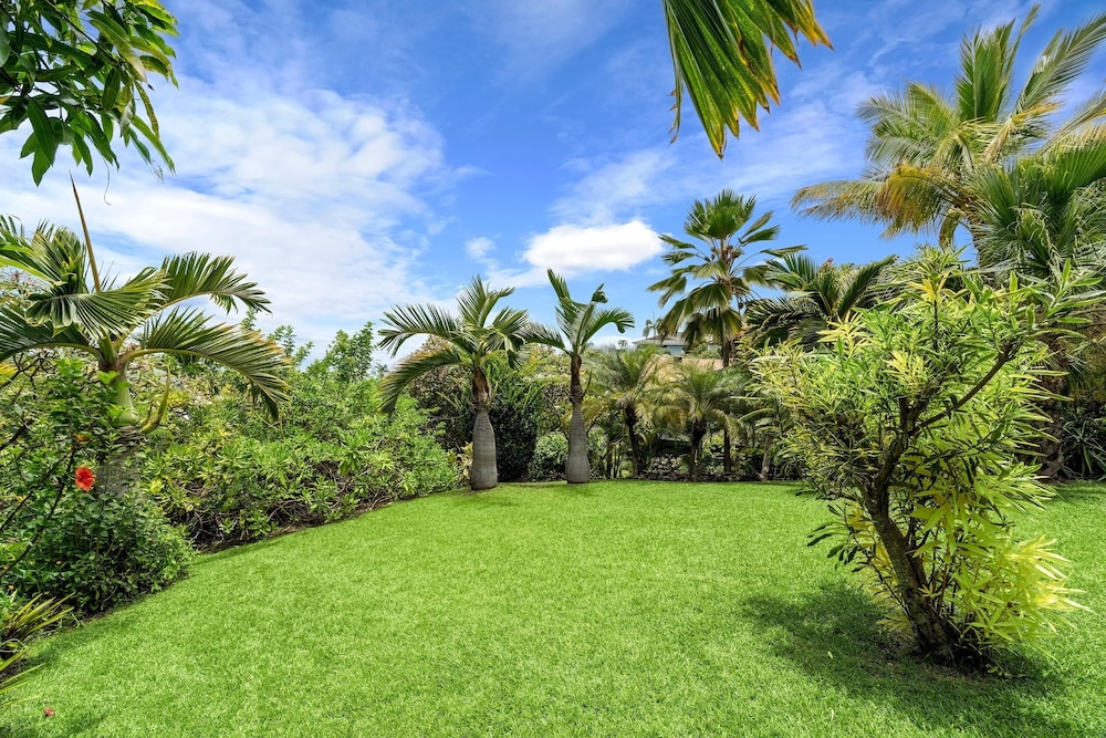 Koana Breeze - photo 31