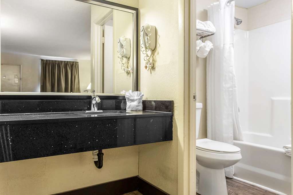 Quality Inn Goose Creek Charleston - photo 16