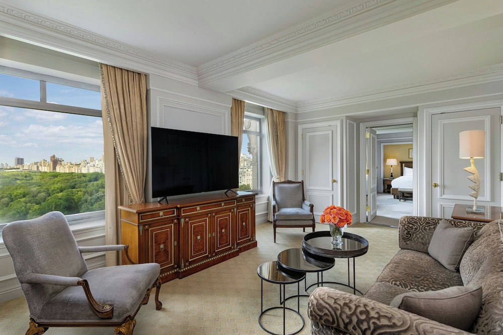 The Ritz Carlton New York Central Park - photo 49