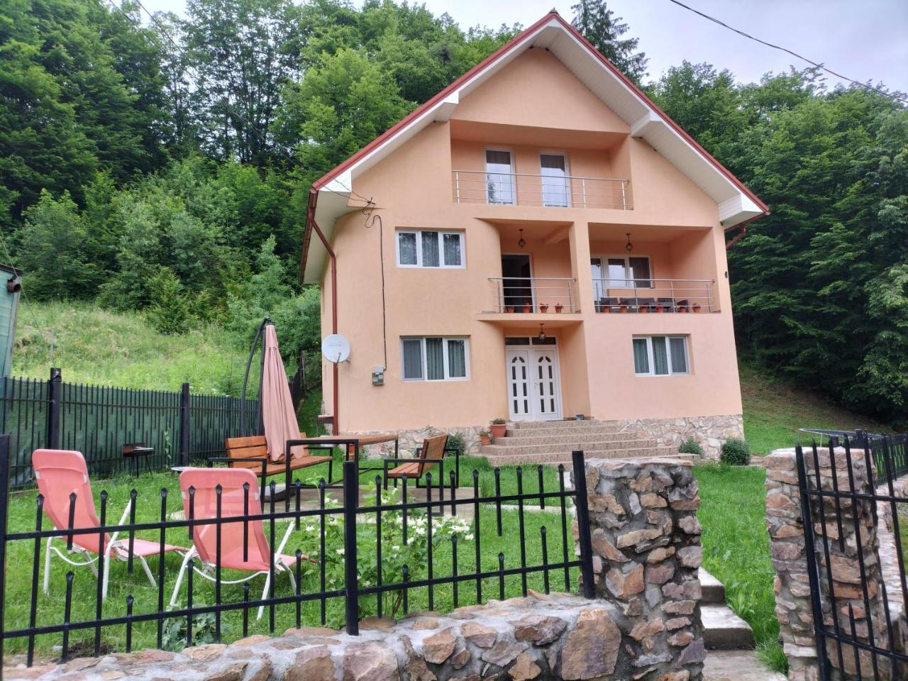 Casa De Vacanta Lidia 19009620 — Albac