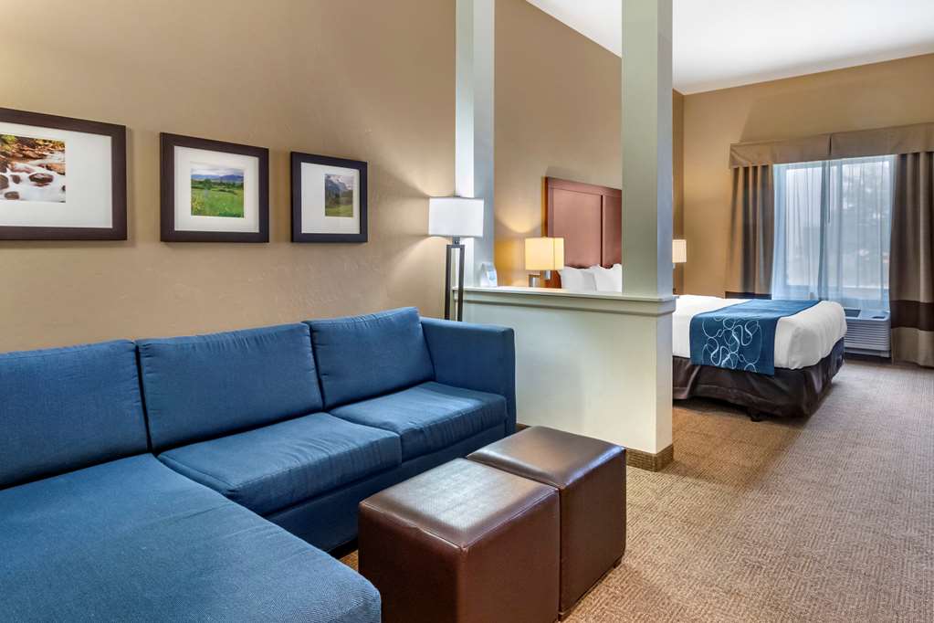 Comfort Suites Airport University - photo 7