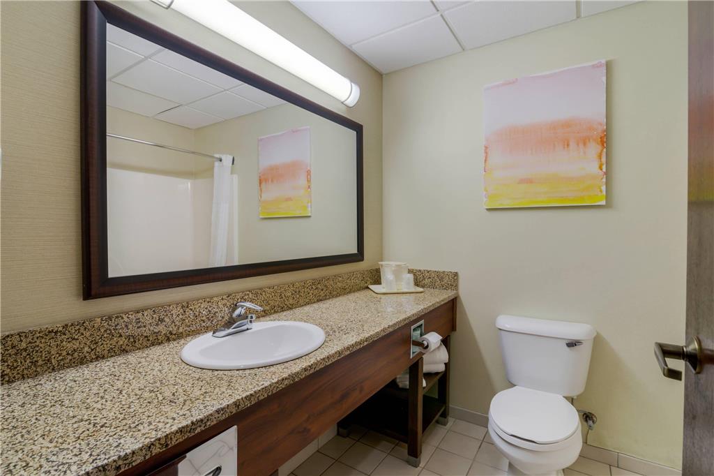 Comfort Inn Bismarck - photo 17