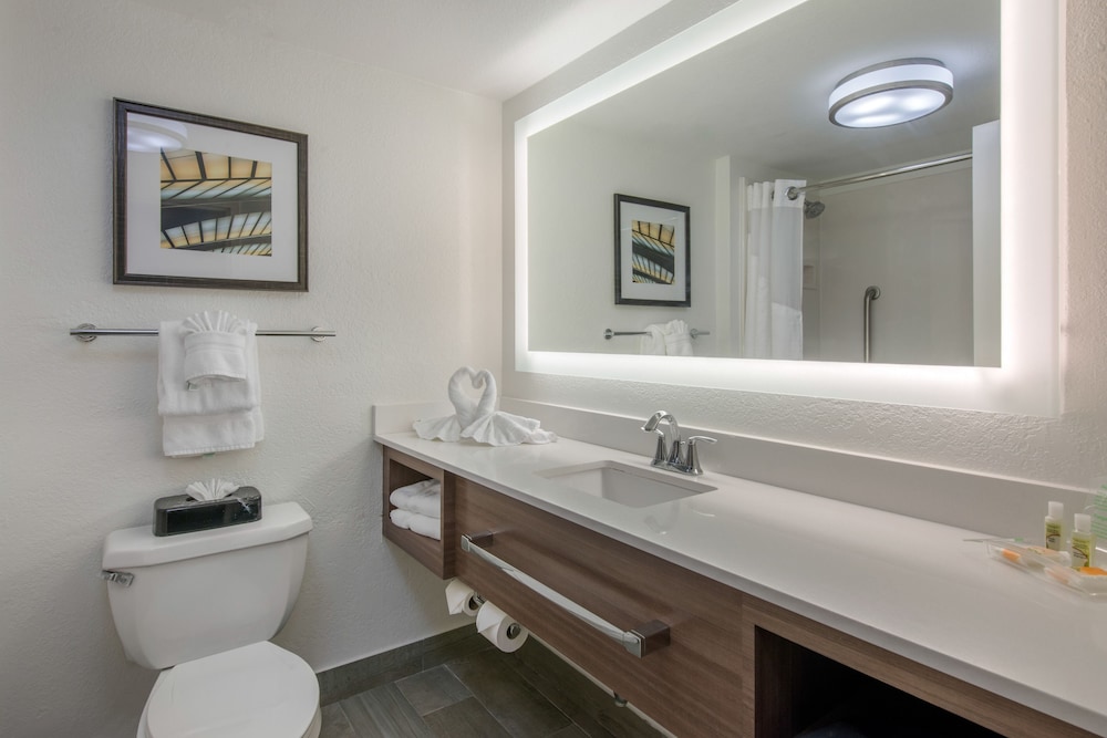 Holiday Inn Melbourne Viera Conference Ctr by IHG - photo 19