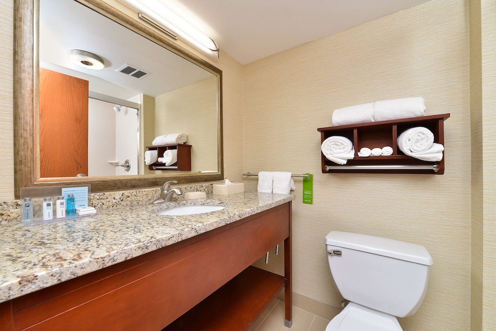 Hampton Inn Detroit Auburn Hills South - photo 10