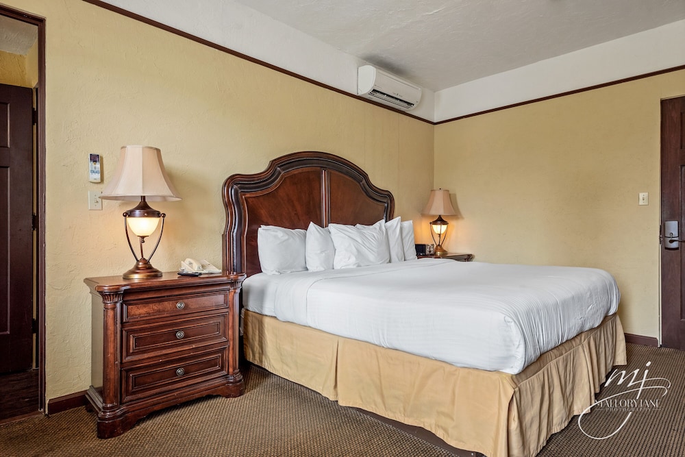 Hotel Seville - photo 15