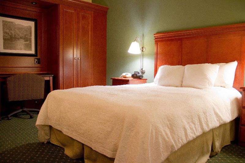 Hampton Inn Charleston Downtown - photo 59