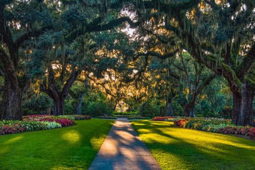 Barefoot Resort - photo 16