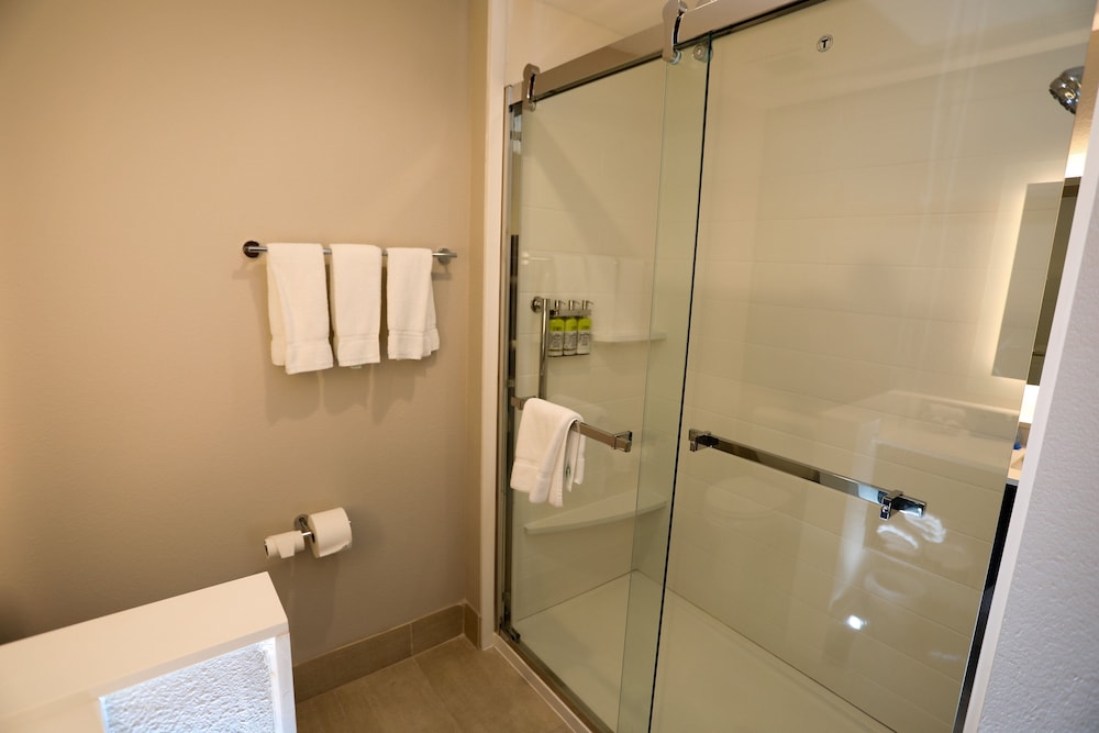 Holiday Inn Express & Suites Forney by IHG - photo 16