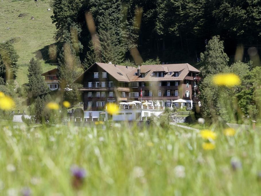 Hotel Hammer - carbon neutral hotel in Schwarzenberg
