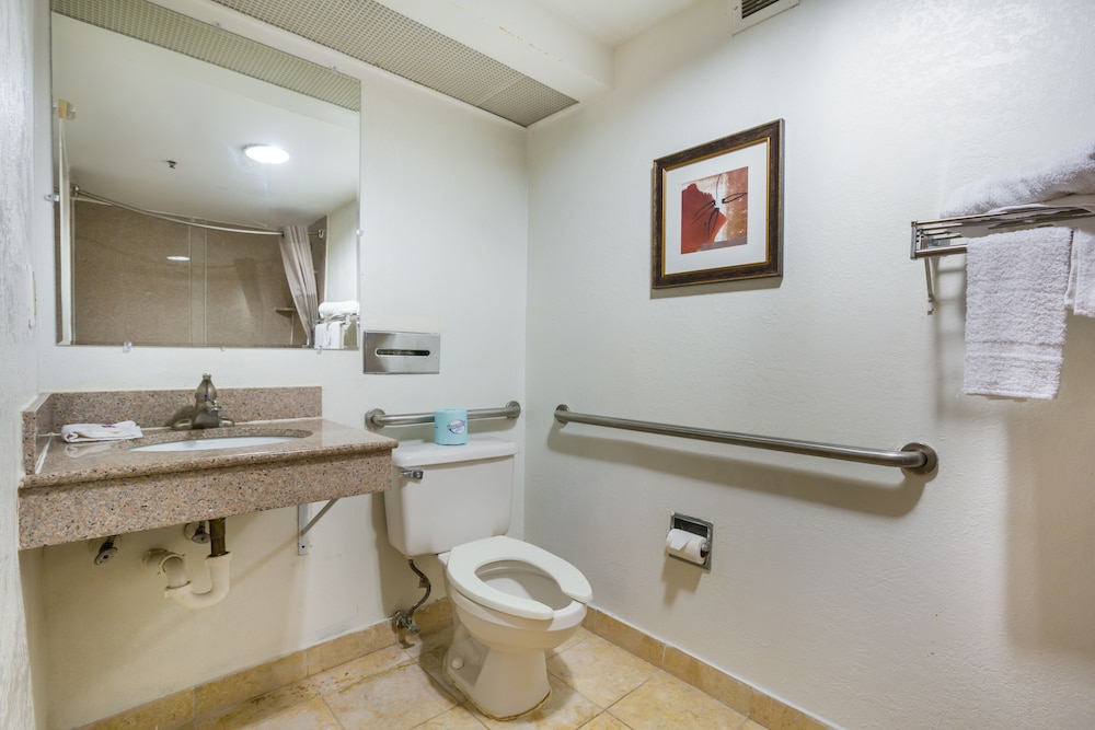 Budgetel Inns & Suites Atlanta Galleria Stadium - photo 11