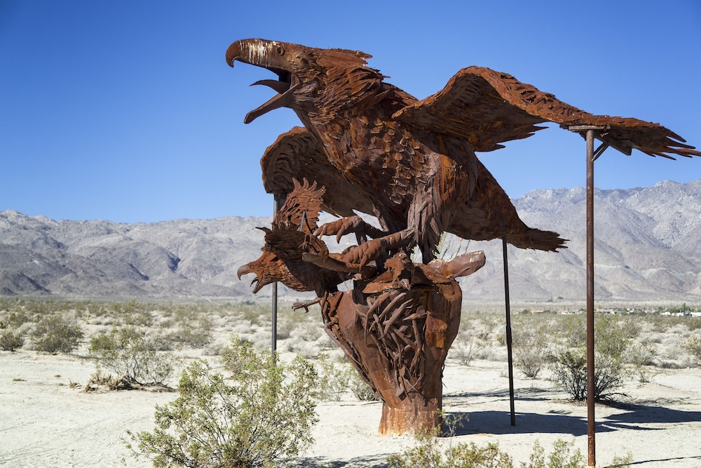 Borrego Springs Resort & Spa - photo 45