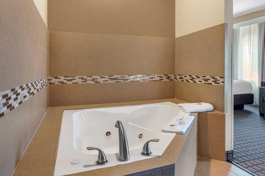 Comfort Inn & Suites Cincinnati Uptown Clifton - photo 20