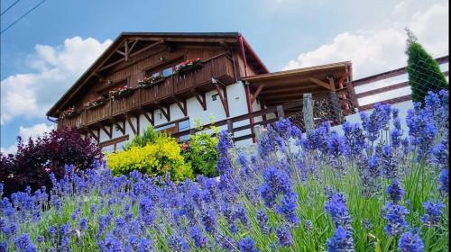 Gold Horse Vendégház in Szilvasvarad, Hungary