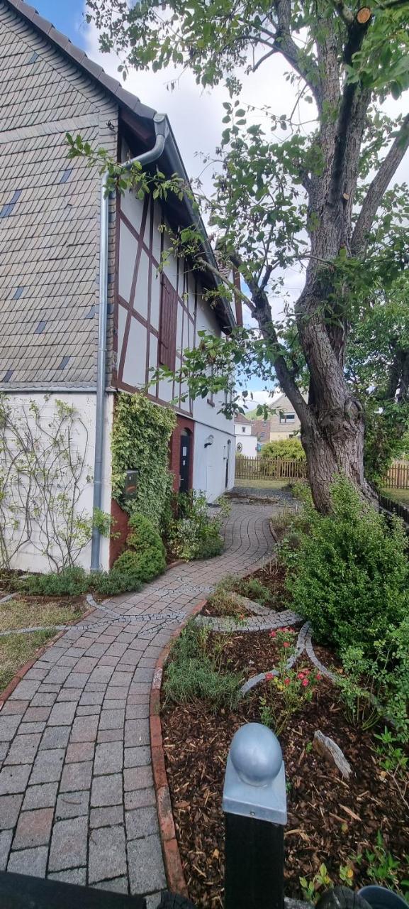 Ferienhaus Schuldienersch — Biedenkopf — photo 5