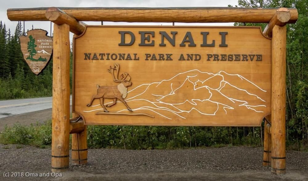 Denali Park Hotel - photo 38