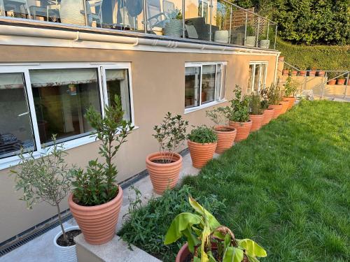 Glastonbury Vista — 4-Star Luxury Hotel in Glastonbury, United Kingdom