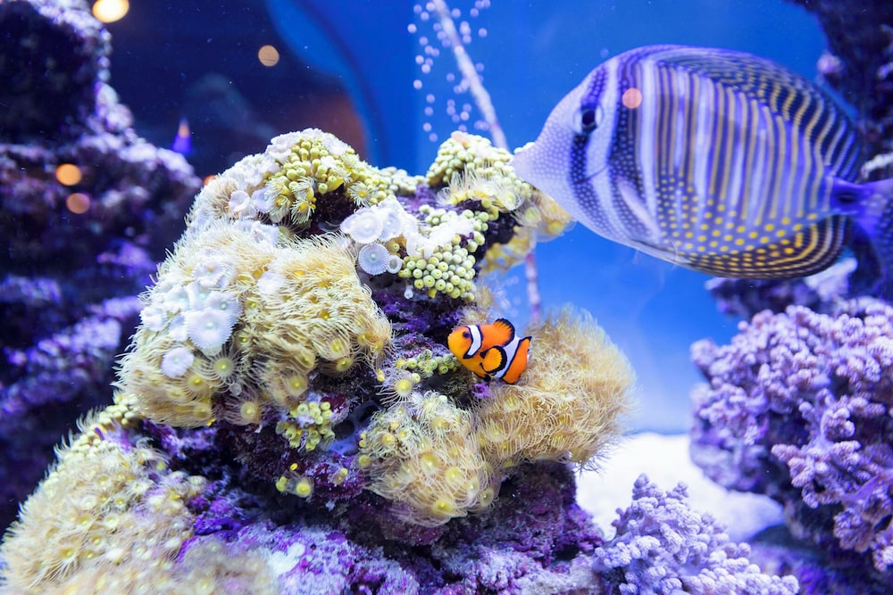 Children's activities