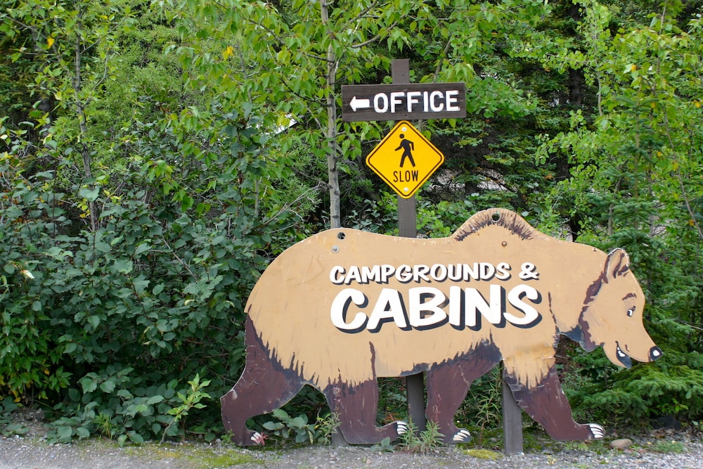 Denali Grizzly Bear Resort - photo 26