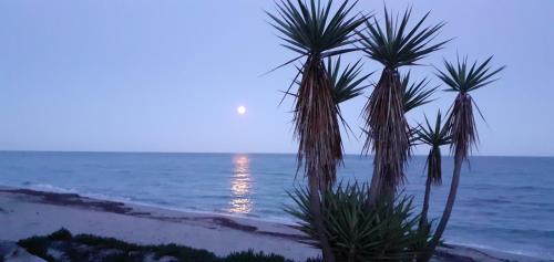 Esperanza in Unknown City, France