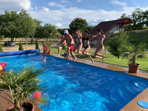 Bor Vendégház in Kiskoros, Hungary