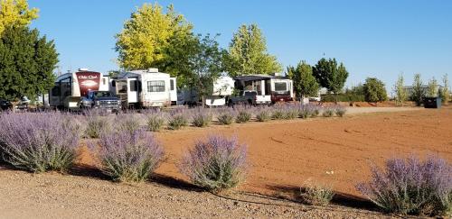 Blue Mountain RV Park - photo 19