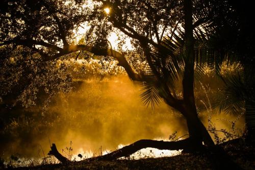 Ngulu Island Sanctuary in Unknown City, Namibia