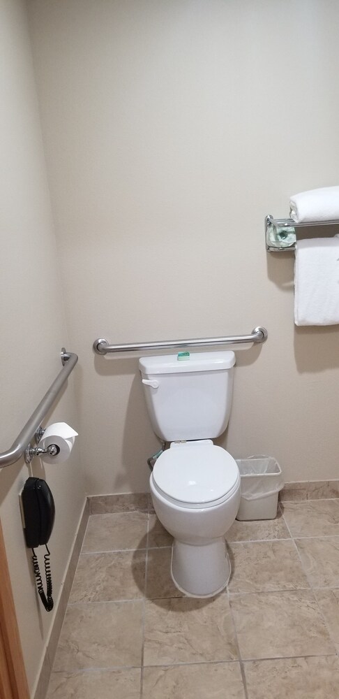 Cobblestone Inn and Suites Lake View - photo 13