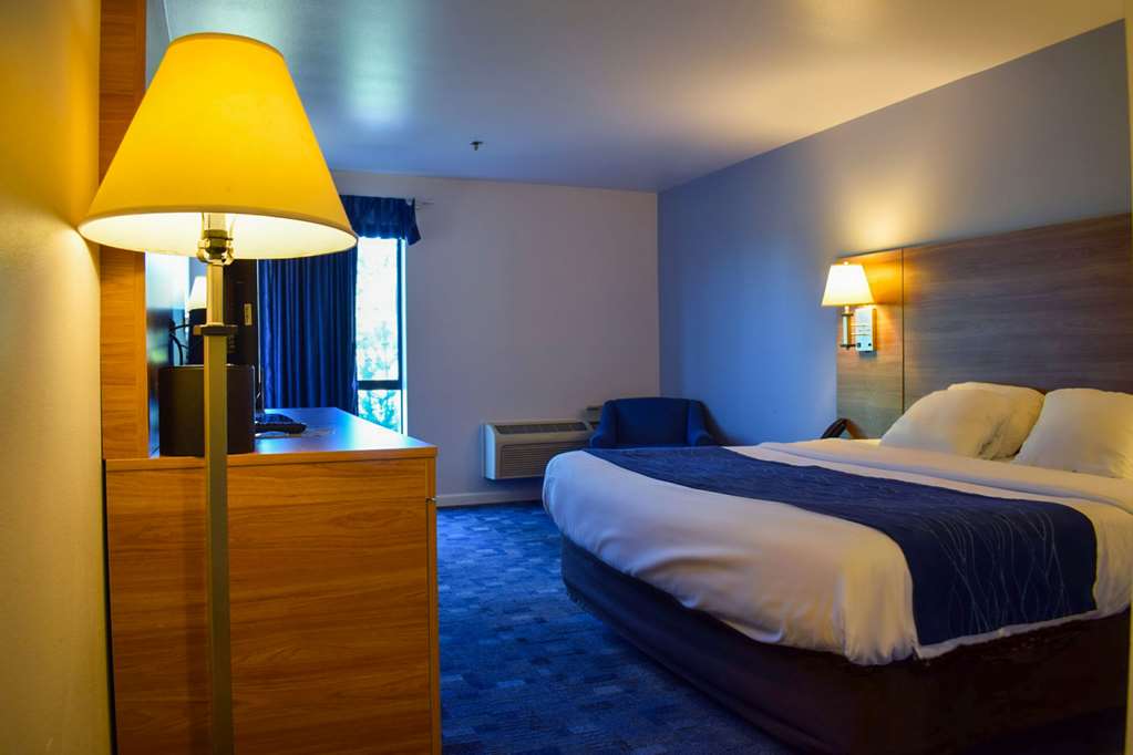 Comfort Inn Bellingham - featured photo