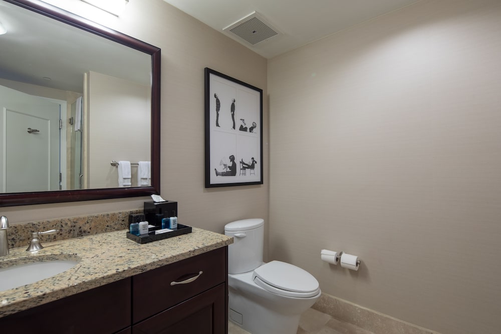 Fontainebleau Miami Beach Private Luxury Suites - photo 291