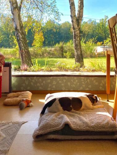 Flämingpanorama Ländliches Gartenhaus mit Kamin und Naturpanorama pet-friendly hotel Niedergorsdorf