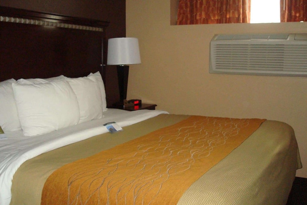 Travelodge by Wyndham Ozone Park - photo 15